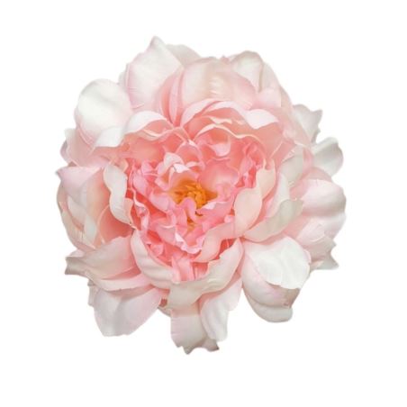 PEONIA GŁOWA 15CM MY249 LT PINK