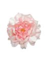 PEONIA GŁOWA 15CM MY249 LT PINK
