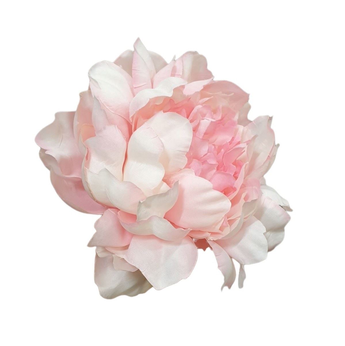 PEONIA GŁOWA 15CM MY249 LT PINK