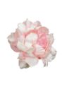 PEONIA GŁOWA 15CM MY249 LT PINK