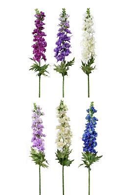 OSTRÓŻKA POJ. 72CM SUN498 MIX2 6 KOLORÓW