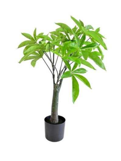 PACHIRA DRZEWO W DONICZCE 65CM 17 LIŚCI GREEN