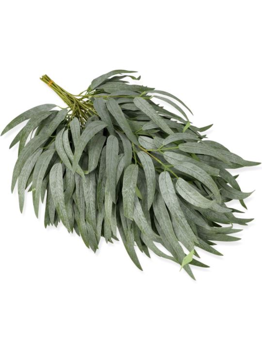 GAŁĄZKA RUSKUS CF39-001 POWDER GREEN