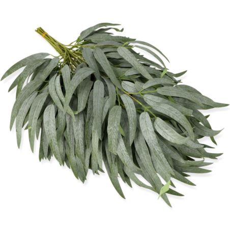 GAŁĄZKA RUSKUS CF39-001 POWDER GREEN