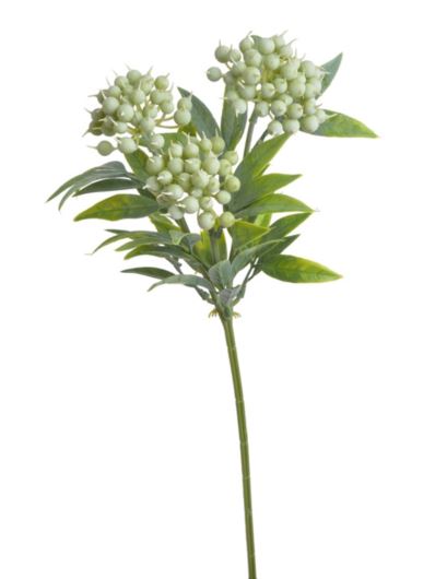 BORWINA GAŁĄZKA Z OWOCAMI 40CM POWDER GREEN