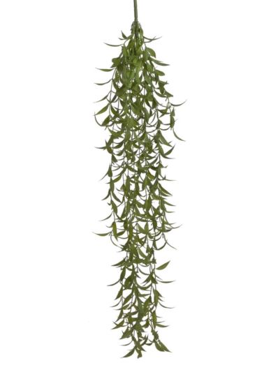 RUSKUS ZWISAJĄCY ROŚLINA 95CM GREEN