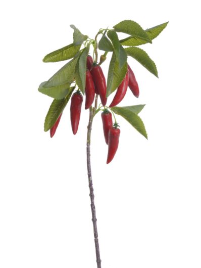 PAPRYKA - PAPRYCZKA CHILI GAŁĄZKA 50CM RED GREEN