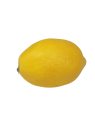 CYTRYNA SZTUCZNA 8CM X 6CM SZTUCZNY OWOC YELLOW