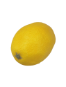 CYTRYNA SZTUCZNA 8CM X 6CM SZTUCZNY OWOC YELLOW