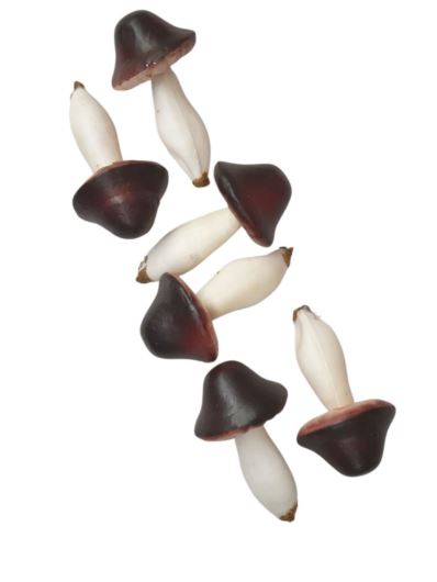 GRZYBKI 7CM 6SZT/KPL