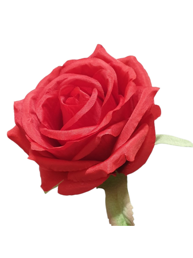 RÓŻA GŁOWA 10CM LY003 #38L RED