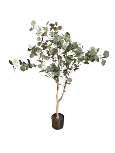 EUKALIPTUS DRZEWKO DON. 115CM POWDER GREEN