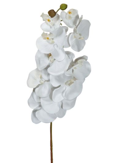 STORCZYK POJEDYNCZY 92CM LYB090 WHITE