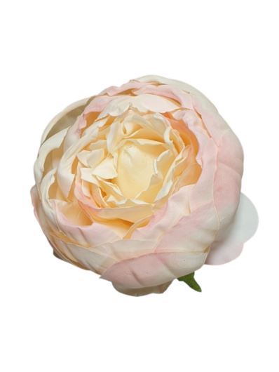 PEONIA GŁÓWKA VINTAGE 8CM /387H (MIX7) CREAM LT PI