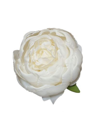 PEONIA GŁÓWKA VINTAGE 8CM /387H (MIX7) PURE CREAM