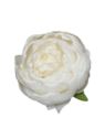 PEONIA GŁÓWKA VINTAGE 8CM /387H (MIX7) PURE CREAM