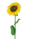 SŁONECZNIK DUŻY 105CM VIP2544 YELLOW