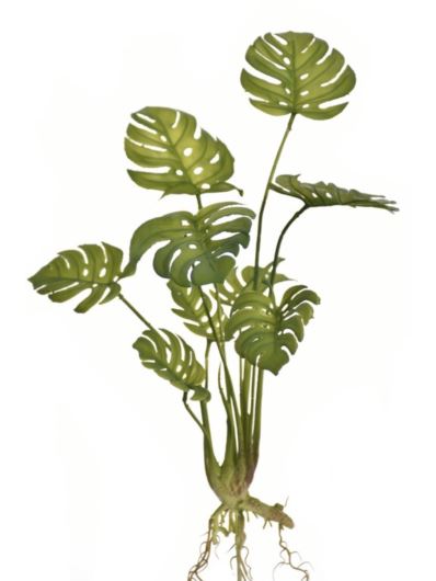 MONSTERA BUKIET 45CM JUN014 RT GREEN