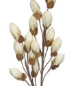 MAGNOLIA PĄKI PIANKA 8079 105CM CREAM