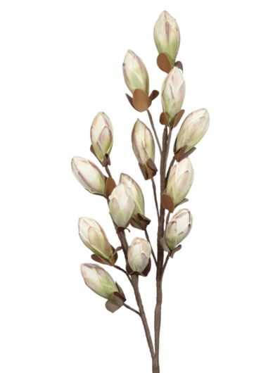 MAGNOLIA PĄKI PIANKA 8079 105CM CREAM GREEN PINK
