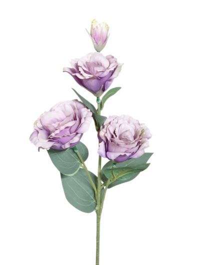 EUSTOMA GAŁĄZKA 3 KWIATY 68CM LT VIOLET