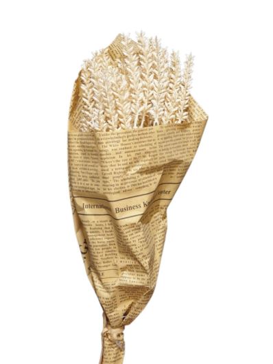 LAWENDA BUKIET W PAPIERZE /4645 35CM CREAM