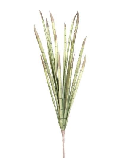 SANSEVIERIA PIANKA /7604 95CM GREEN