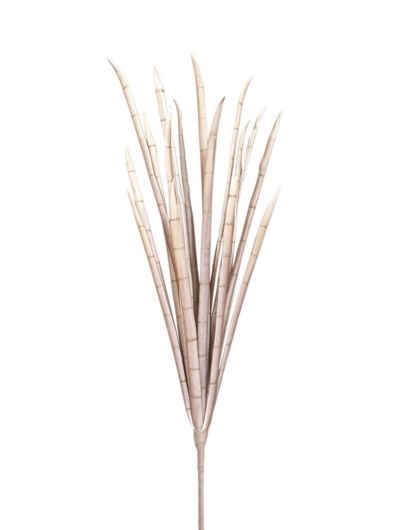 SANSEVIERIA PIANKA /7604 95CM LT. BROWN