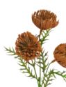 KWIAT SZTUCZNY DODATEK 66CM CV35570 BROWN
