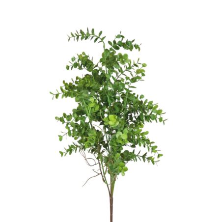 EUKALIPTUS BUKIET