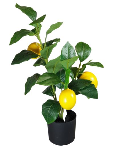 CYTRYNA Z OWOCAMI W DONICZCE 35CM GREEN YELLOW