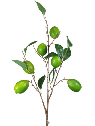 LIMONKA  GAŁĄZKA Z OWOCAMI 90CM GREEN