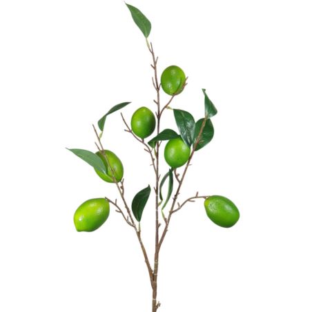 LIMONKA  GAŁĄZKA Z OWOCAMI 90CM GREEN