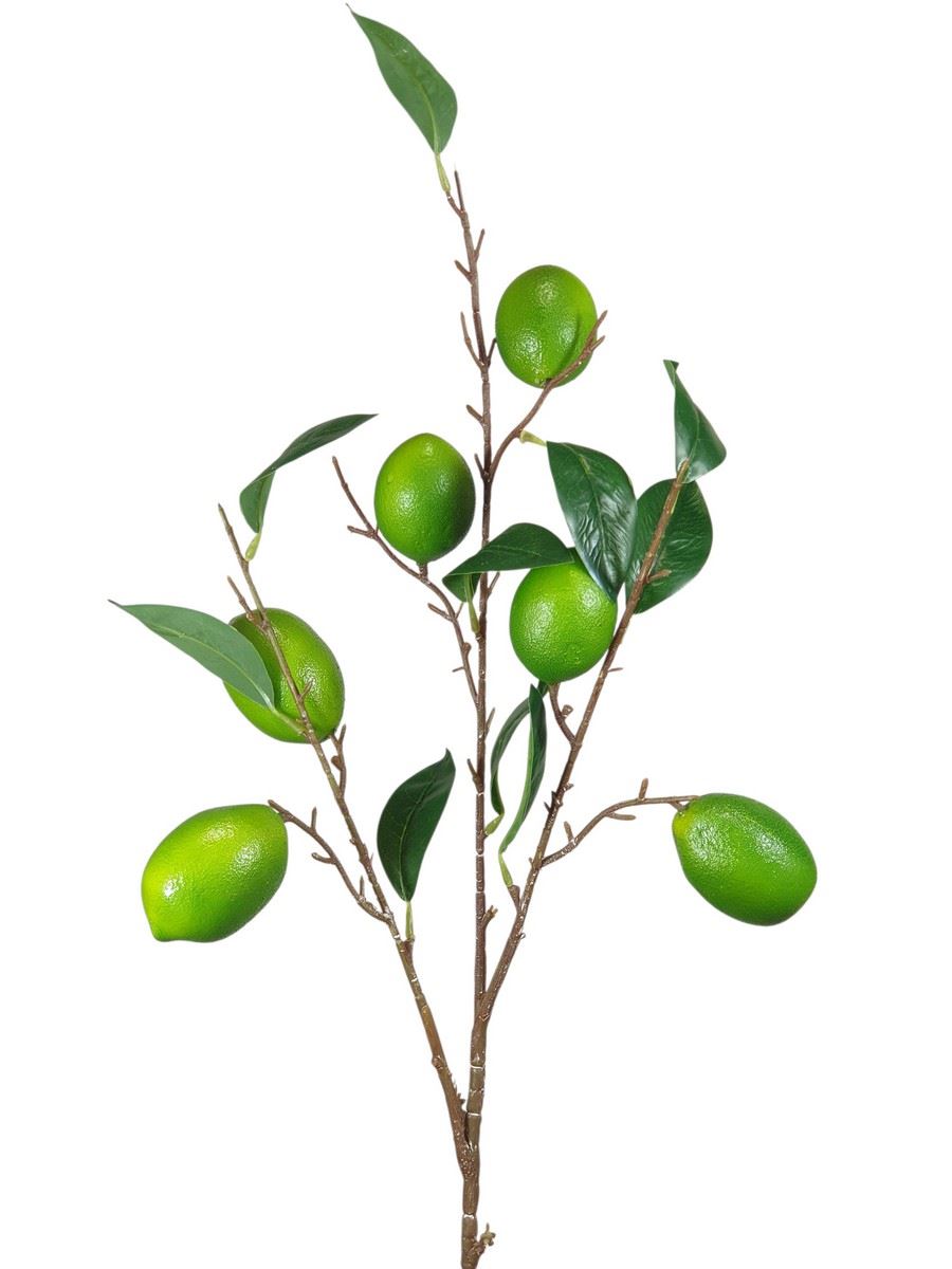 LIMONKA  GAŁĄZKA Z OWOCAMI 90CM GREEN