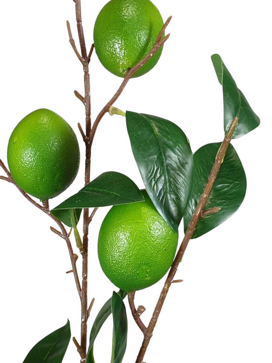 LIMONKA  GAŁĄZKA Z OWOCAMI 90CM GREEN