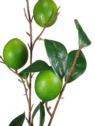 LIMONKA  GAŁĄZKA Z OWOCAMI 90CM GREEN