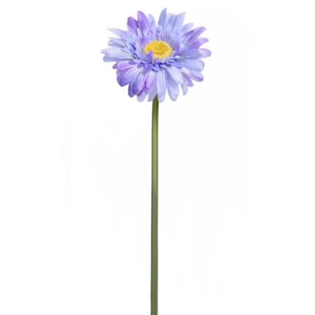 GERBERA POJEDYNCZA 47CM SUN529 BLUE VIOLET