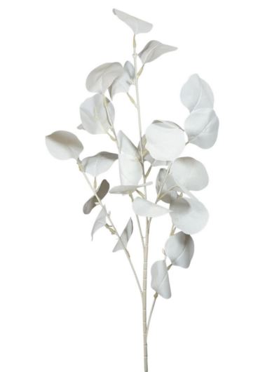 EUKALIPTUS BIAŁY GAŁĄZKA 88CM