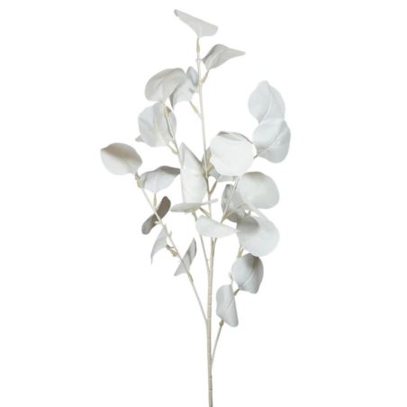 EUKALIPTUS BIAŁY GAŁĄZKA 88CM