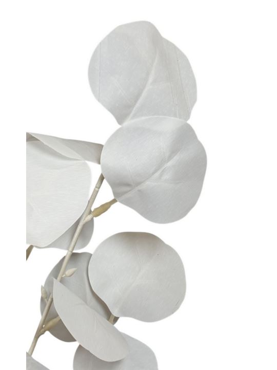 EUKALIPTUS BIAŁY GAŁĄZKA 88CM