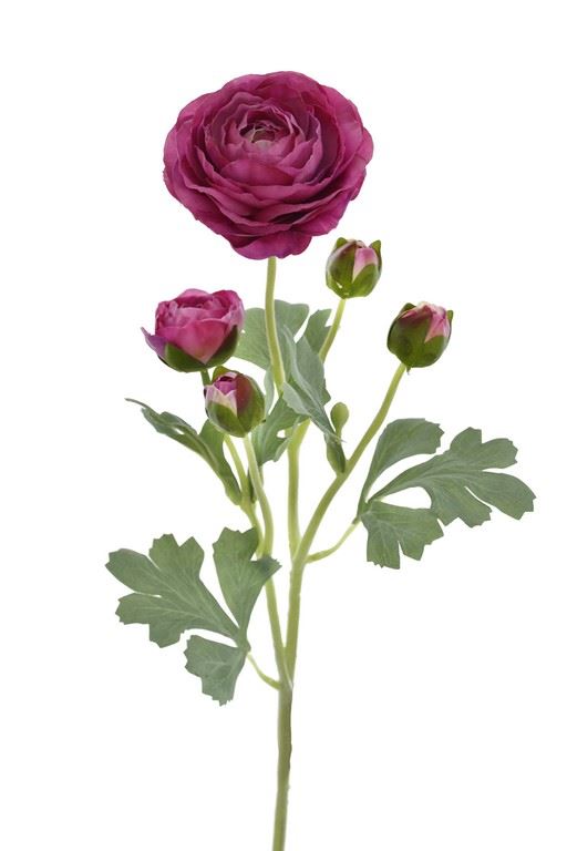 PEŁNIK GAŁĄZKA 52CM REN2002 RT BEAUTY