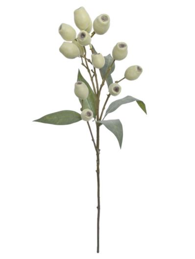 EUKALIPTUS Z OWOCAMI 66CM ECO022 LT GREEN