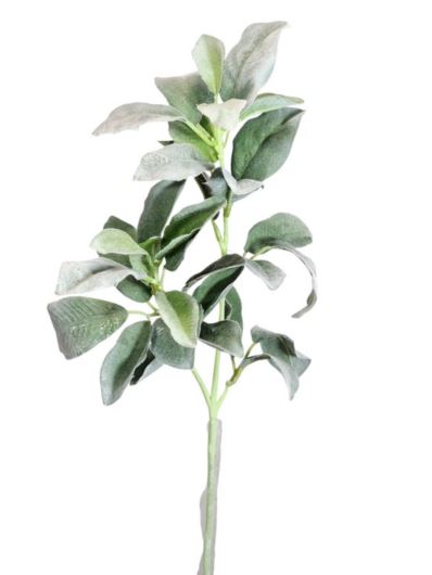 STARZEC GAŁĄZKA FLOKOWANA 70CM POWDER GREEN