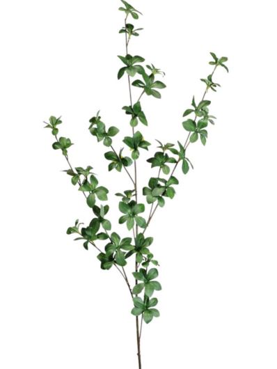 TERMINALIA GAŁĄZKA DROBNE LIŚCIE 120CM GREEN