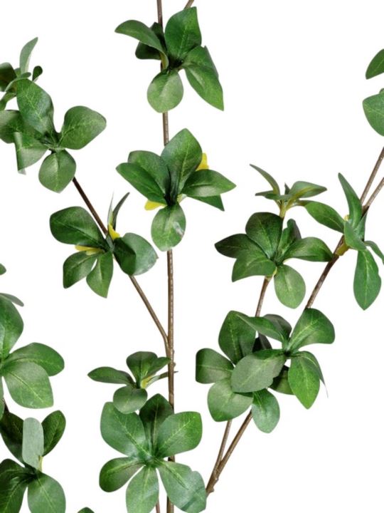 TERMINALIA GAŁĄZKA DROBNE LIŚCIE 120CM GREEN