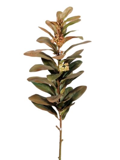 BERBERYS GAŁĄZK ALIŚCIE 70CM GREEN BROWN