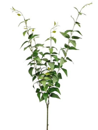 TRZYKROTKA GAŁĄZKA 92CM GREEN