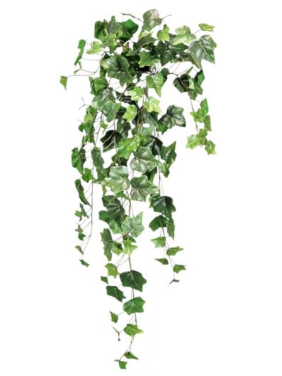 HEDERA BLUSZCZ 70CM NATURAL TOUCH GREEN