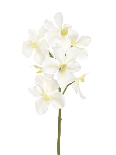 STORCZYK VANDA 60CM LEV002 SOFT WHITE
