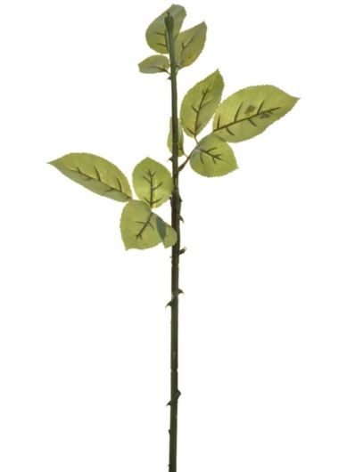 ŁODYGA DO RÓŻY 57CM YD371 SOFT TOUCH GREEN